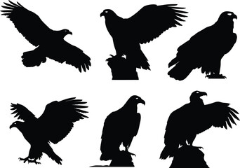 Majestic eagles in various poses, perfect for branding, logos, and wildlife design projects