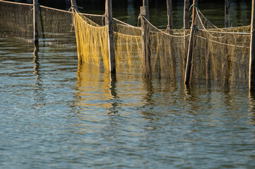 fishing net inside the Po river Delta, Comacchio, Ferrara, Italy