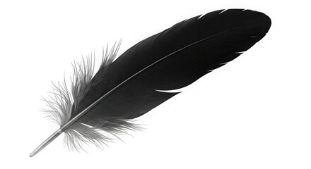 Single Black Feather On Black Background