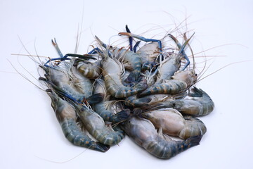 fresh river shrimp
