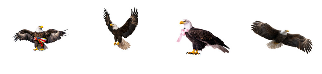 Obraz premium Four bald eagles with distinctive plumage and some wearing accessories on a black background, cut out transparent