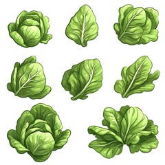 Illustration of fresh green vegetables including lettuce and various leafy greens as a photo