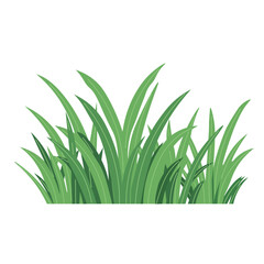 Obraz premium Flat vector illustration of lush green grass plant with dense leaves, perfect for landscape and gardening decorative design elements.