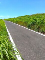 江戸川土手のサイクリング道路に続く誰もいない猛暑日の坂道風景