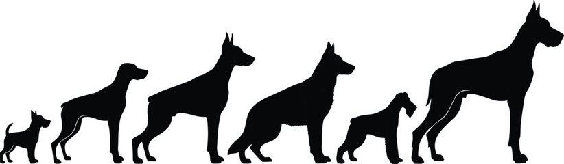 Dog growth stages silhouette, puppy to adult, pet development, canine evolution, animal size progression, domestic dog life cycle, isolated on white