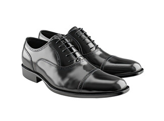 Polished black leather dress shoes