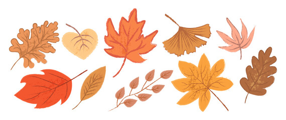 A collection of autumn leaves as if drawn by hand. Seasonal autumn leaves in warm tones. Cute flat botanical illustration on a white background