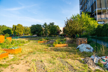 Urban community garden in Zizkov, Prague, Czech Republic. Sustainable green space with planting...