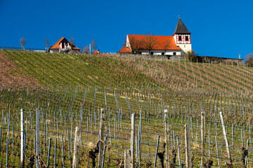 Michaelsberg bei Cleebronn