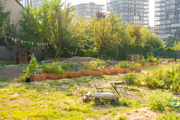 Urban community garden in Zizkov, Prague, Czech Republic. Sustainable green space with planting...