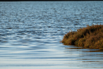 nature sceneries inside the Po river Delta lagoon during an autumnal afternoon, Comacchio, Ferrara, Italy