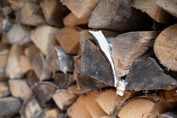 Details of split birch logs with birch bark. Woodpile. Birch firewood. Split firewood. Texture of...