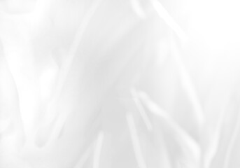 Obraz premium abstract white background