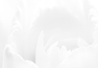 abstract white background