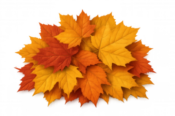 Cluster of colorful maple leaves in shades of orange and yellow, isolated on a transparent background, perfect for fall-themed designs