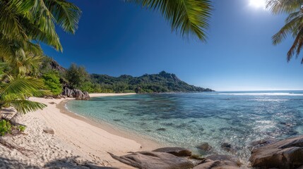 Tropical beach framed by palm trees