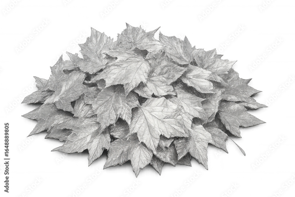 Poster silver maple leaves clustered, forming textured pattern, lying against transparent backdrop, ideal f