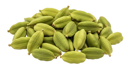 Isolated Pile of Green Cardamom Pods