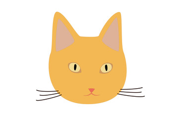 minimalist illustration of an orange cat