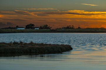 sunset over the lagoon, Po river delta, Comacchio, Ferrara, Italy
