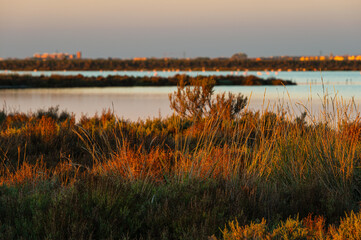 sunset over the lagoon, Po river delta, Comacchio, Ferrara, Italy