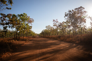 Fototapeta premium red dirt road outback bush desert