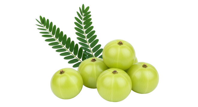 Isolated Indian Gooseberry (Amla) with Leaves