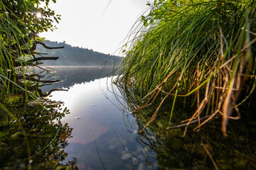 Adda (river)