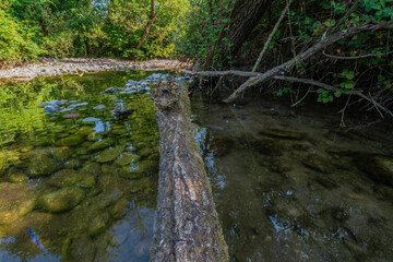 Adda (river)