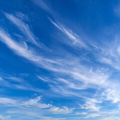 Obraz premium 맑고 청명한 파란 하늘과 흩날리는 구름