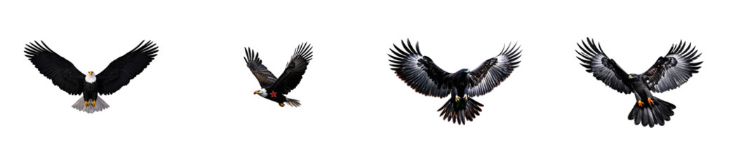 Four eagles in flight with wings spread against a black background, cut out transparent