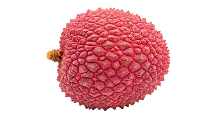 Isolated lychee