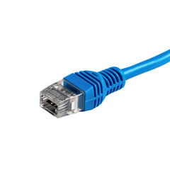Close-up of a blue Ethernet cable connector