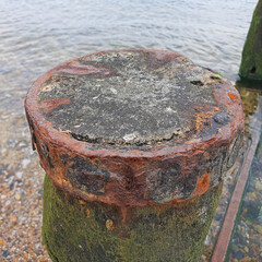Close-Up of Rusted Metal Cap on Wooden Groyne Post by the Sea