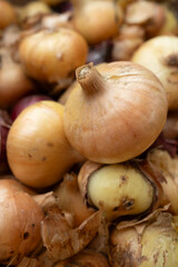 Onions. Onion heads. Pile of onions. Unpeeled onion heads. Onion harvest.