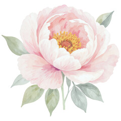 Obraz premium Pink Peony in Watercolor: A delicate pink peony blossom, rendered in exquisite watercolor detail, exudes elegance and grace, showcasing its lush petals and gentle leaves.