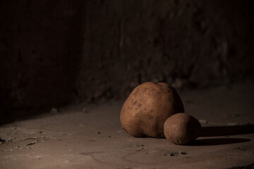 still life potatoes. Modern art. Potatoes in the basement
