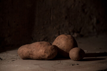still life potatoes. Modern art. Potatoes in the basement