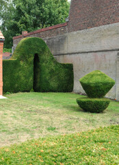 Artfully trimmed hedges in a garden form creative shapes against a brick and concrete wall,...