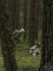 father and daughter picking mushrooms in a spruce forest
