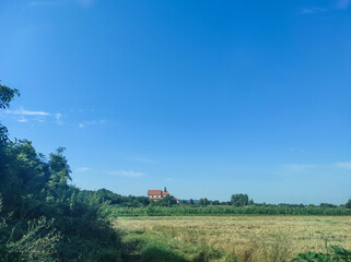 Castles of Ukraine. Old castles. Ruined castles