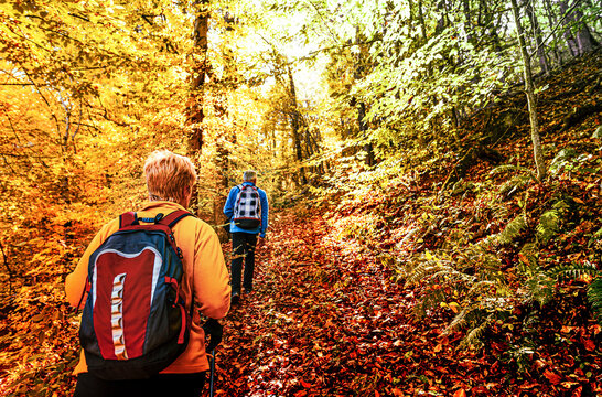 senior couple hiking together through a colorful autumn forest, enjoying nature - Powered by Adobe