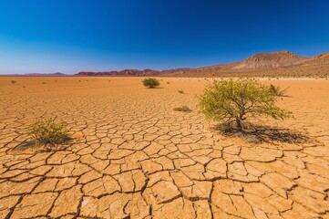 A vast, cracked desert floor with sparse vegetation and a clear sky