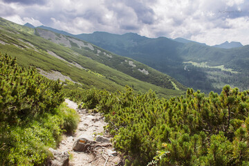 Tatry