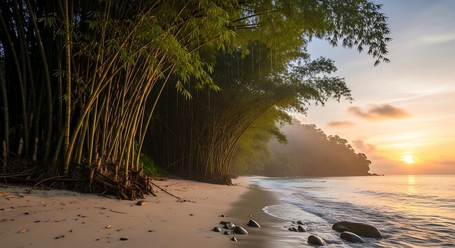 Bamboo trees on a beach at sunset in castara bay, tobago, caribbean