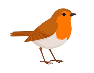 Cartoon robin profile
