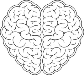 Brain Shape Outline, Cerebral Lobes, Neurology Concept, Mind Icon, Anatomy on White