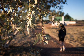green leaves branch native sunrise girl walk 