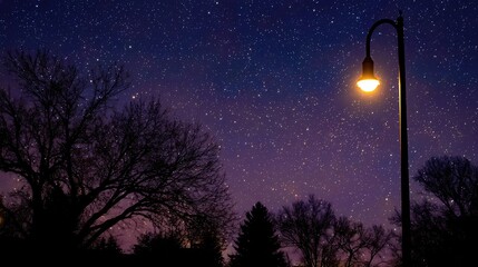 A night-sky-friendly streetlight with a warm cutoff shield glows beneath a starry dusk sky.