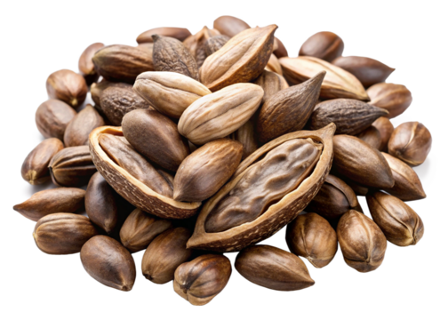 Kapok seeds (edible after roasting) isolated on white background png